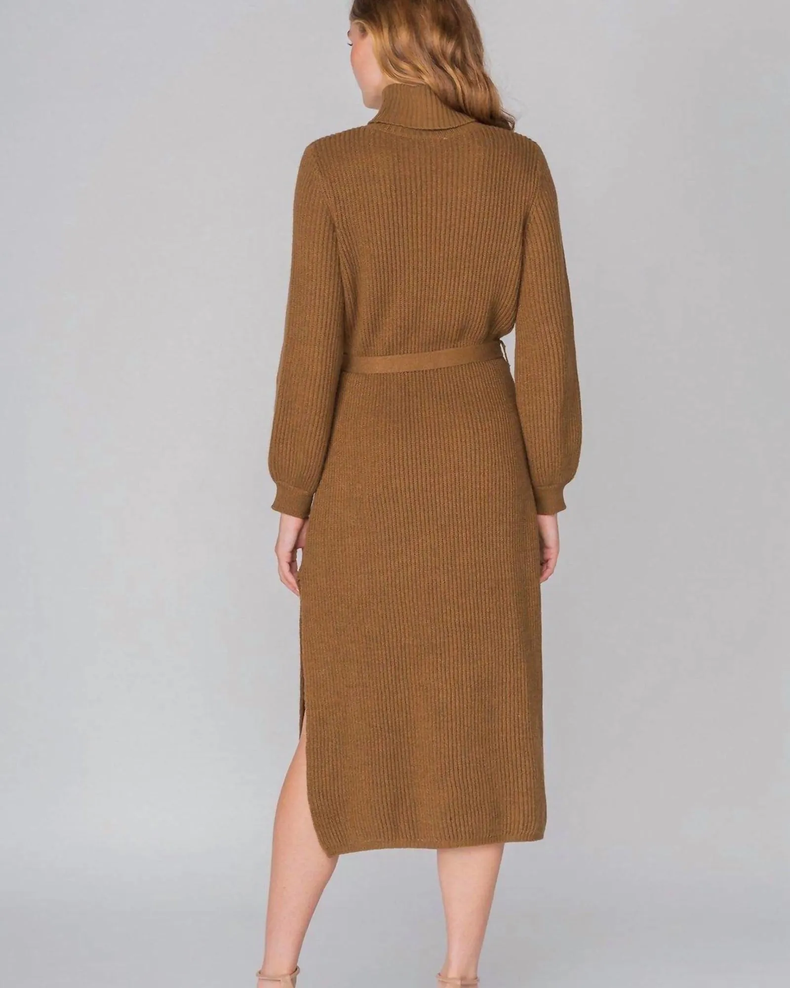 Cafe Turtleneck Sweater Dress in Brown | Brown