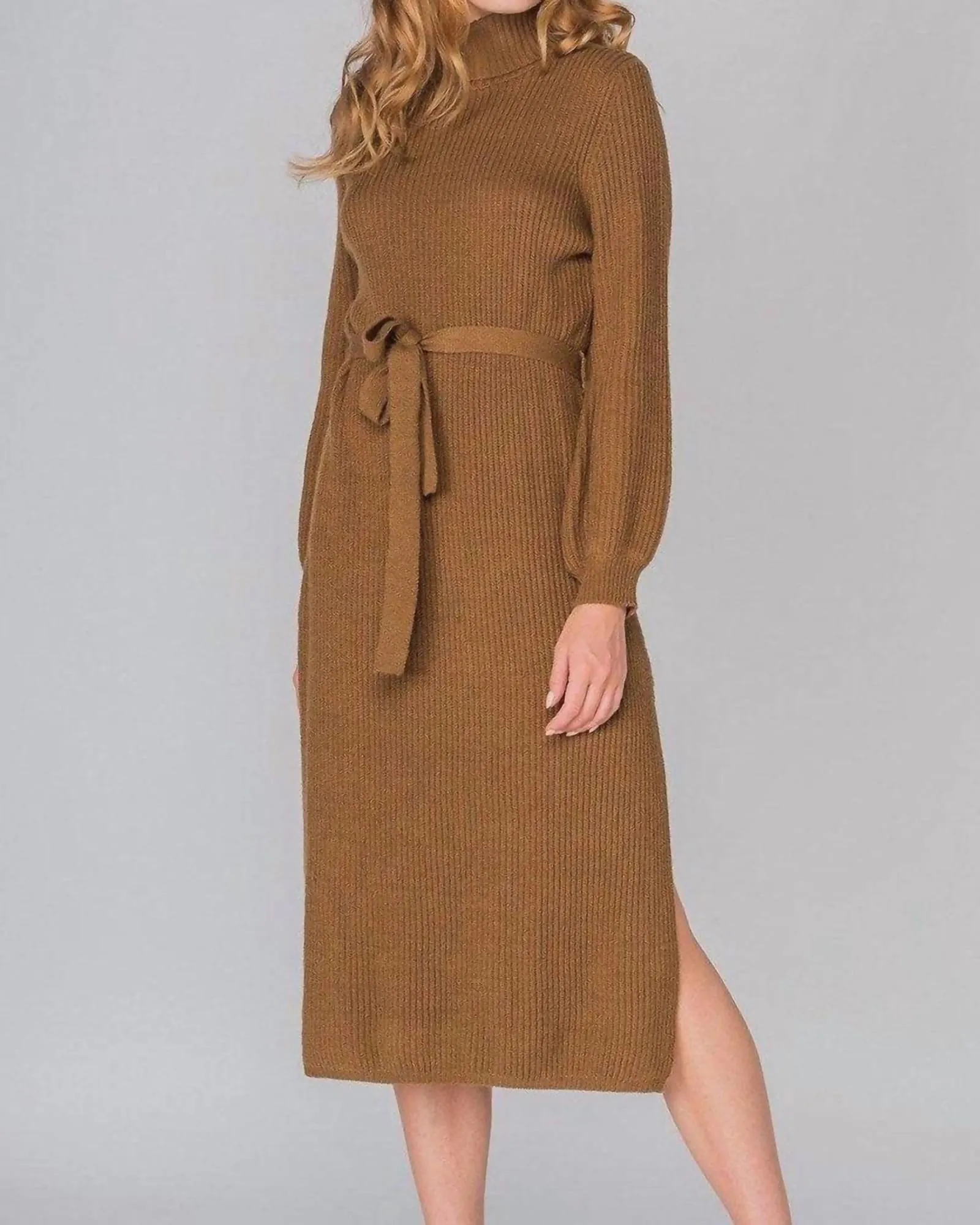 Cafe Turtleneck Sweater Dress in Brown | Brown