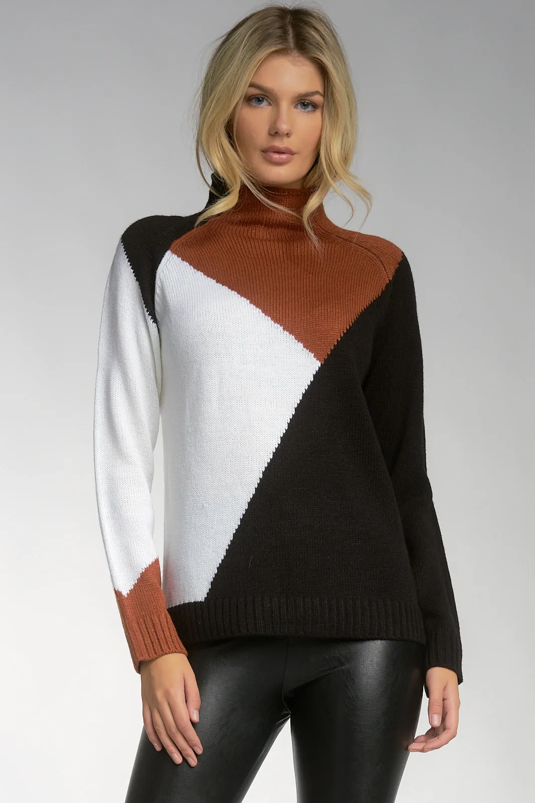 Color Block Turtleneck Sweater