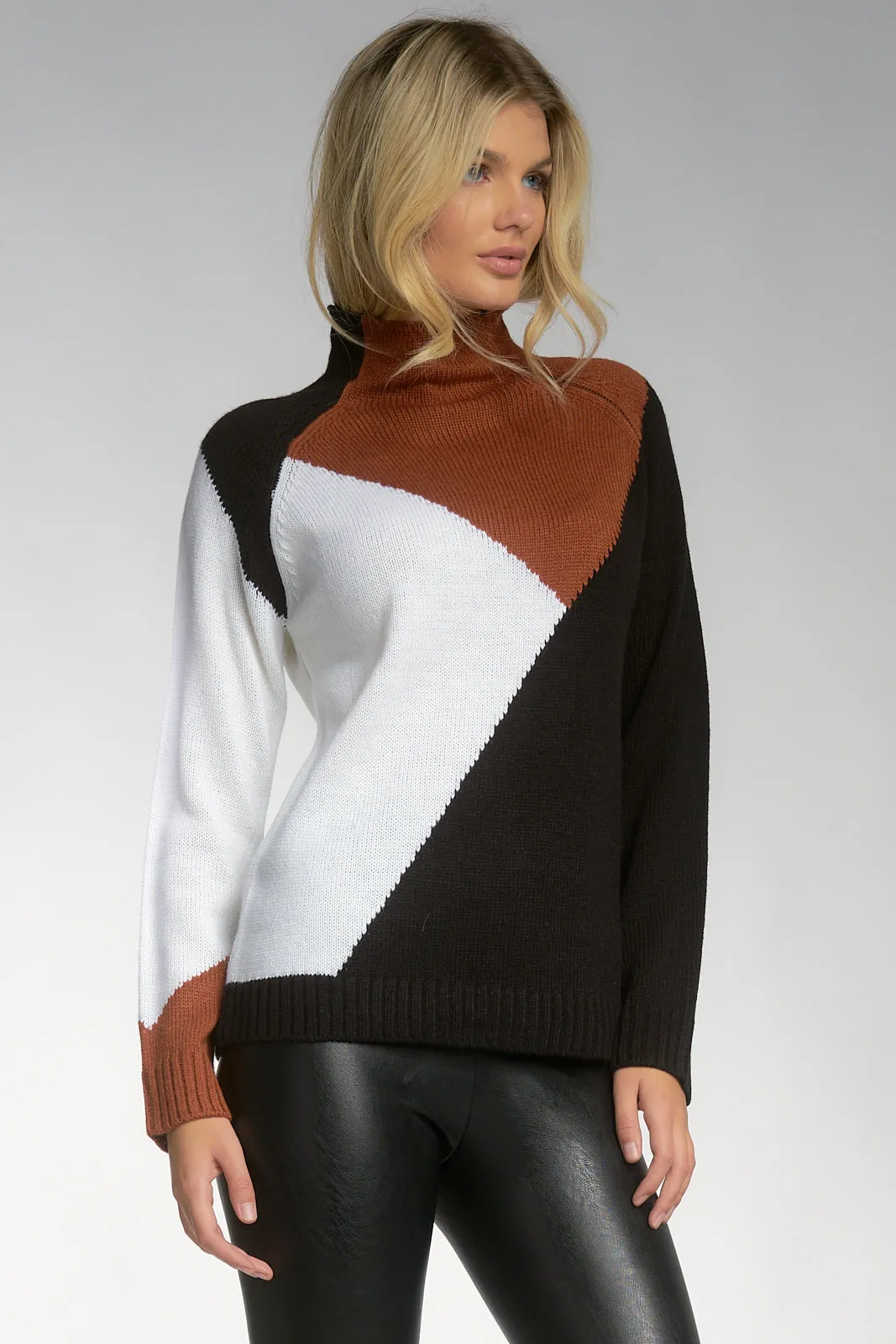 Color Block Turtleneck Sweater