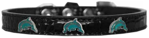 Dolphin Widget Croc Dog Collar Black Size 10