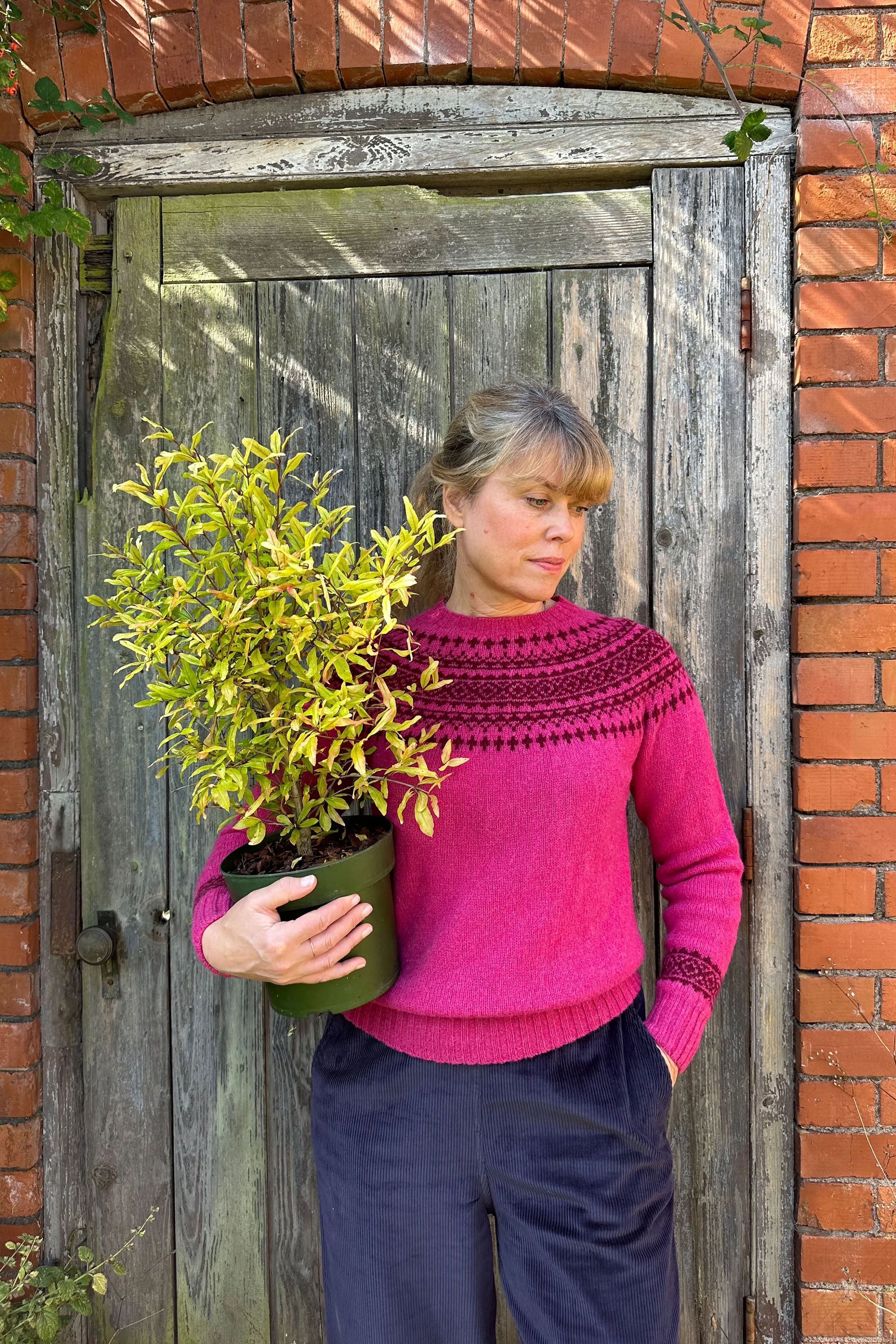 Fairisle Jumper in Magenta and Wine