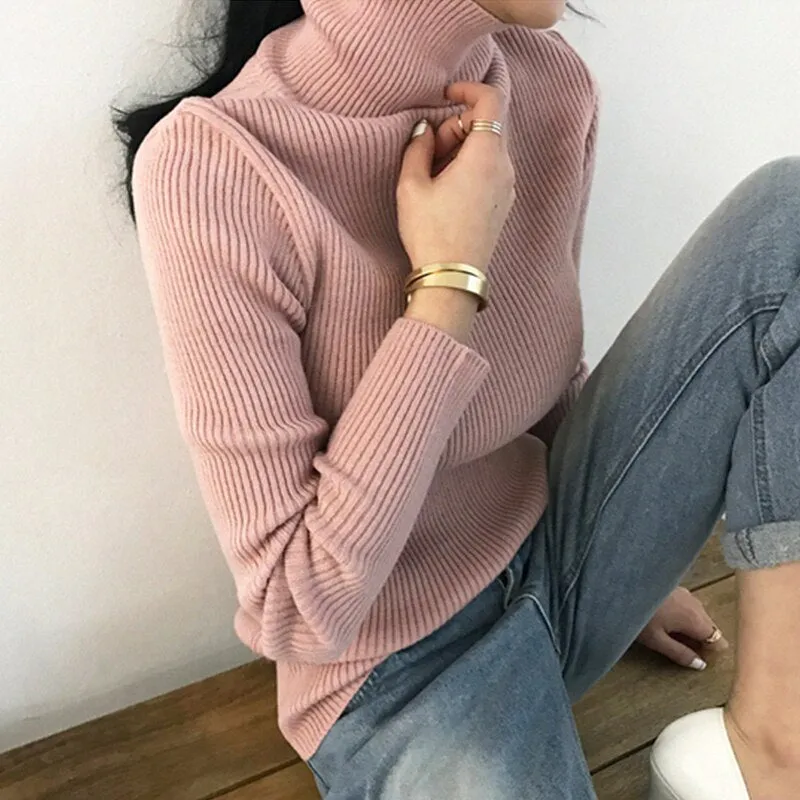 Joskaa Woman Thicken Sweaters Fall Winter 2024 New Knitted Turtleneck Long Sleeve Ribbed Pullovers Basic Slim Quality Jumpers