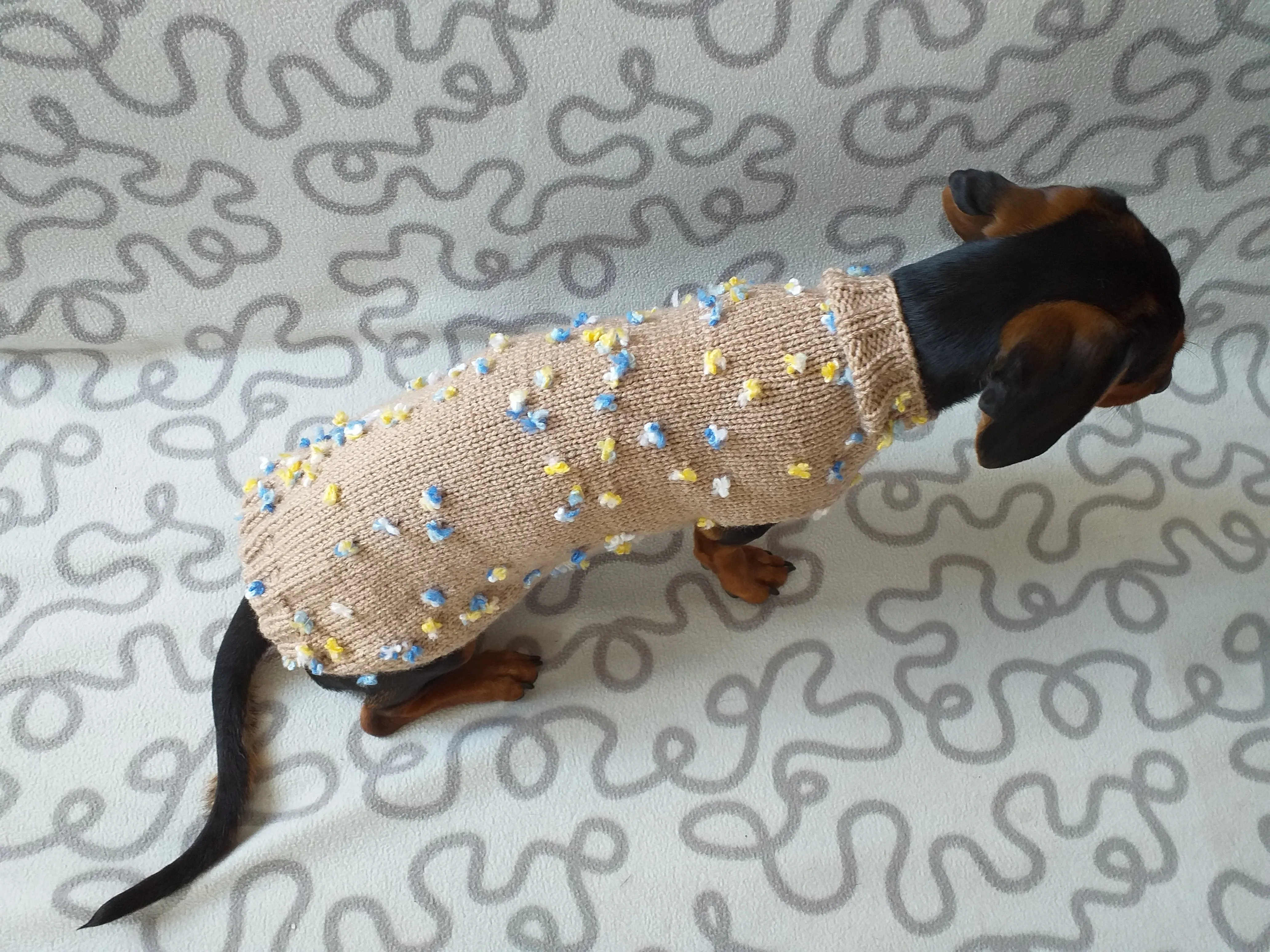 Jumper with flowers for a mini dachshund,Sweater with flowers and butterflies for miniature dachshund or small dog.