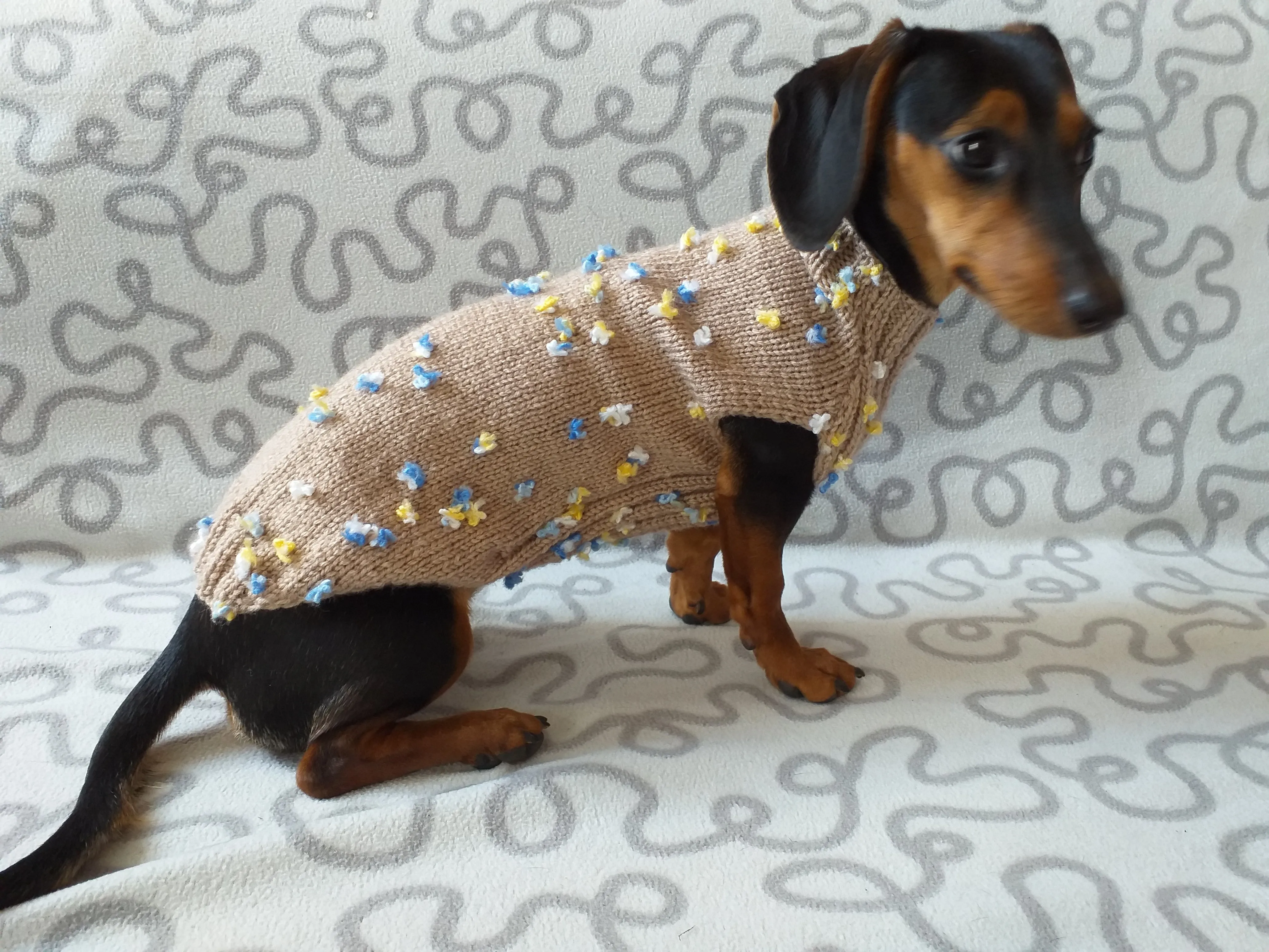 Jumper with flowers for a mini dachshund,Sweater with flowers and butterflies for miniature dachshund or small dog.