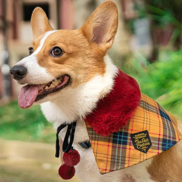 Scarlet Faux Fur Collar Trench Coat in Autumn Brown Tartan