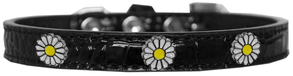 White Daisy Widget Croc Dog Collar Black Size 14